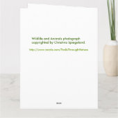 De dieren van het wild juichen omhoog Wenskaart Kaart (Achterkant)