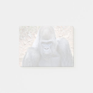 De dierentuin van Atlanta (2023) Post-it® Notes