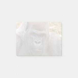De dierentuin van Atlanta (2023) Post-it® Notes