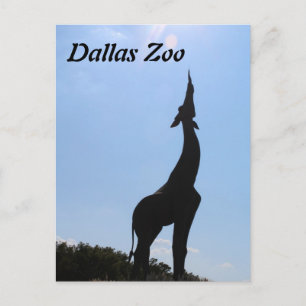De Dierentuin van Dallas Briefkaart