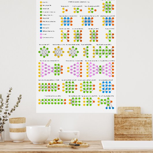 De dierentuin van het neurale Netwerk Poster (Keuken)