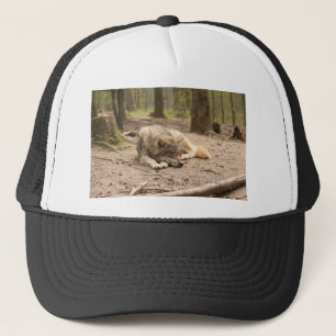 De dierlijke Natuur van het Land van de Liefde van Trucker Pet