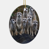 De Dierlijke Safari Afrika Leuke Suricate van Keramisch Ornament (Rechts)
