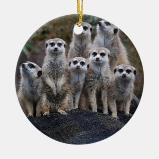 De Dierlijke Safari Afrika Leuke Suricate van Keramisch Ornament (Voorkant)