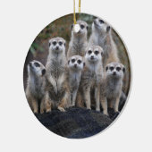 De Dierlijke Safari Afrika Leuke Suricate van Keramisch Ornament (Links)