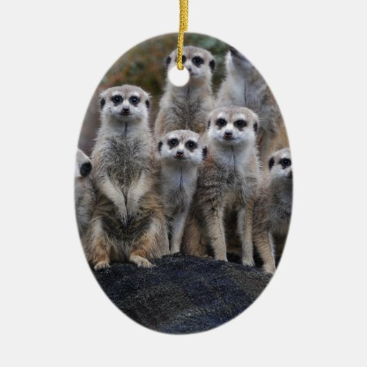 De Dierlijke Safari Afrika Leuke Suricate van Keramisch Ornament (Voorkant)