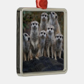 De Dierlijke Safari Afrika Leuke Suricate van Metalen Ornament (Rechts)
