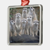 De Dierlijke Safari Afrika Leuke Suricate van Metalen Ornament (Links)