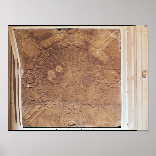 De diersoort van Dendarah Poster (Voorkant)