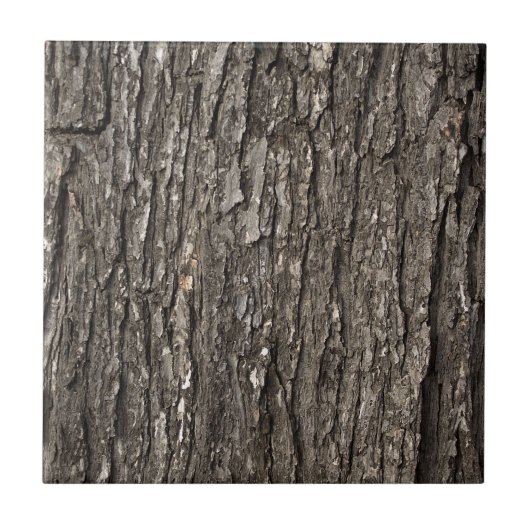 De dikke Schors van de Boom Tegeltje (Voorkant)