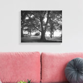 De Dillard Boom Canvas Afdruk (Insitu (Woonkamer))