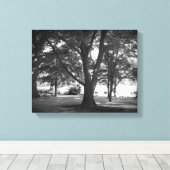 De Dillard Boom Canvas Afdruk (Insitu (Houten vloer))