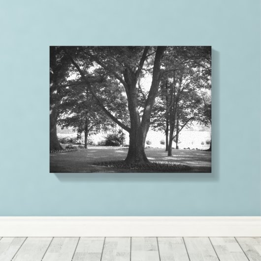 De Dillard Boom Canvas Afdruk (Insitu (Houten vloer))