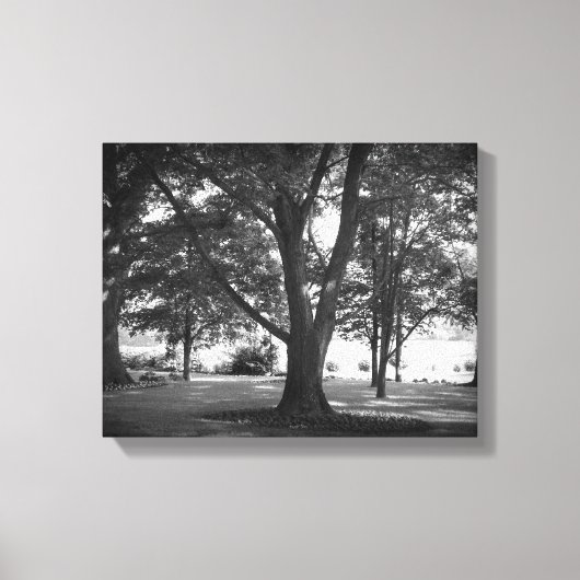 De Dillard Boom Canvas Afdruk (Voorkant)