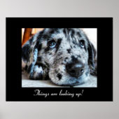 De dingen kijken op! poster (Voorkant)