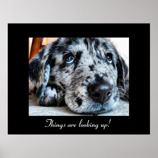 De dingen kijken op! poster (Voorkant)