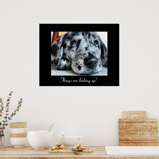 De dingen kijken op! poster (Keuken)