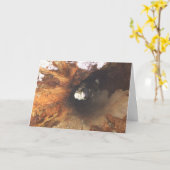 De dingen zijn Strak Kaart (Gele Bloem)