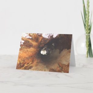 De dingen zijn Strak Kaart