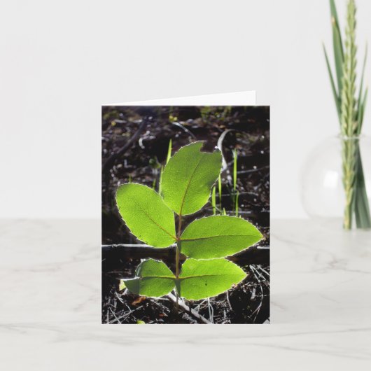 De dingen zullen Helderdere Notecard zijn Kaart (Voorkant)