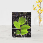 De dingen zullen Helderdere Notecard zijn Kaart (Gele Bloem)