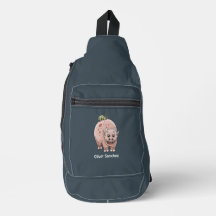 De dinosauriërs zijn klaar voor school