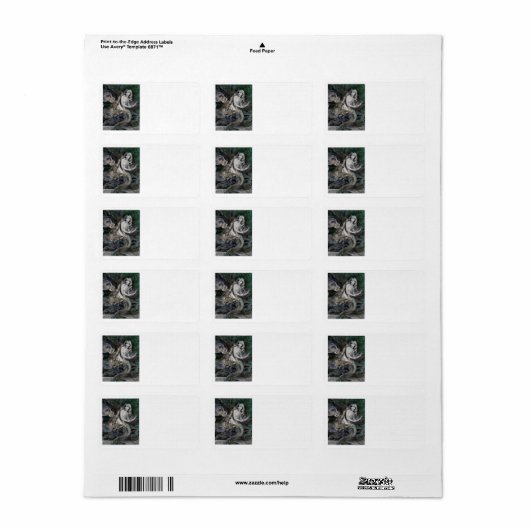 De directeur ontmoet een zeemeermin etiket (Full Sheet)