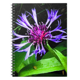 DE Distel Notitieboek