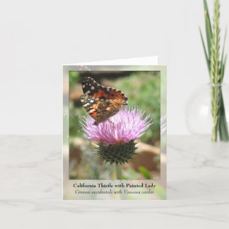 De Distel van Californië met Geschilderde Dame - Kaart