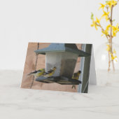 De distelvink/juicht toe kaart (Gele Bloem)