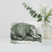 De dode olifant briefkaart (Staand voorkant)