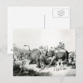 De dode tijger briefkaart (Voorkant / Achterkant)