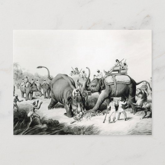 De dode tijger briefkaart (Voorkant)