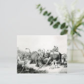 De dode tijger briefkaart (Staand voorkant)