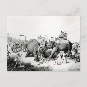De dode tijger briefkaart