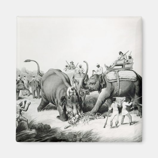 De dode tijger magneet (Voorkant)