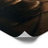 De Dode Violinist Poster (Hoek)