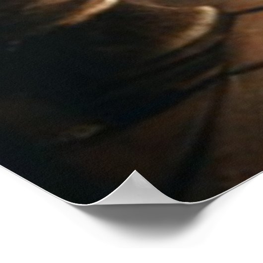 De Dode Violinist Poster (Hoek)