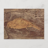 De dode vogel briefkaart (Voorkant)