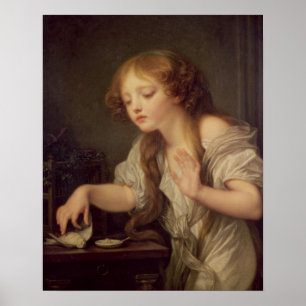 De dode vogel poster