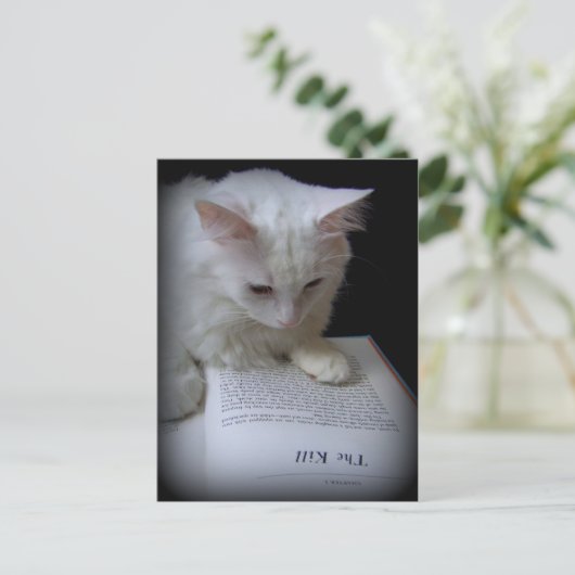 De doden briefkaart (Staand voorkant)