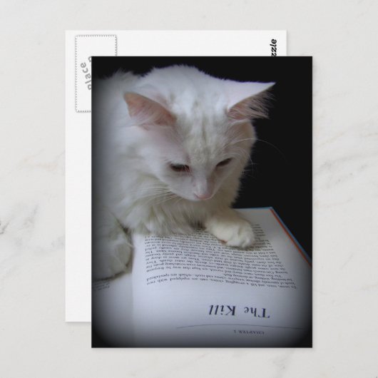 De doden briefkaart (Voorkant / Achterkant)