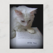 De doden briefkaart (Voorkant)