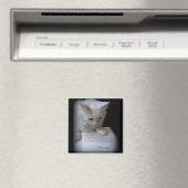 De doden magneet (Insitu (Vaatwasser))