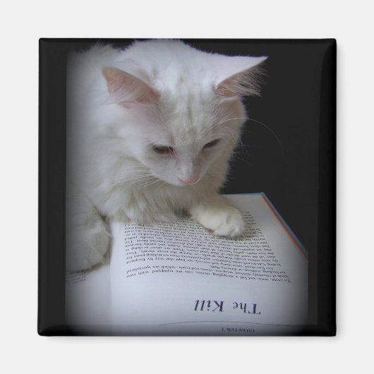 De doden magneet (Voorkant)