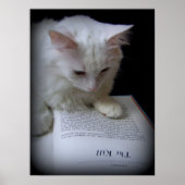 De doden poster (Voorkant)