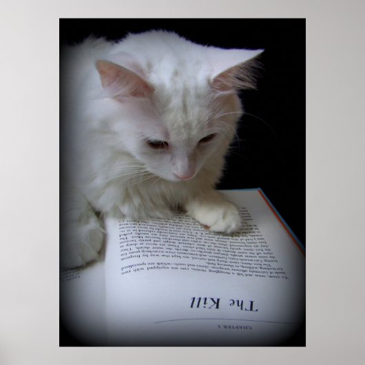 De doden poster (Voorkant)