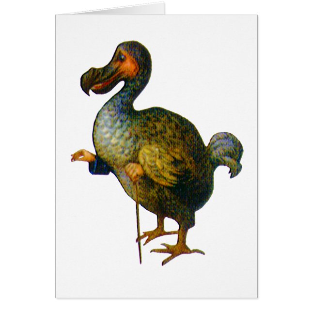 De Dodo Bird (Voorkant)