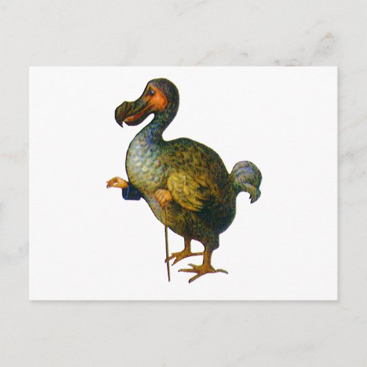 De Dodo Bird Briefkaart (Voorkant)