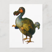 De Dodo Bird Briefkaart (Voorkant)